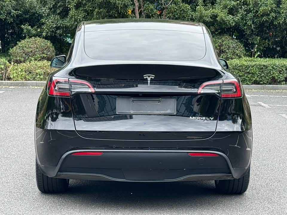 Tesla Model Y Tesla Model Y