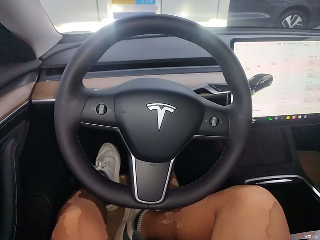Tesla Model 3, 2021 11