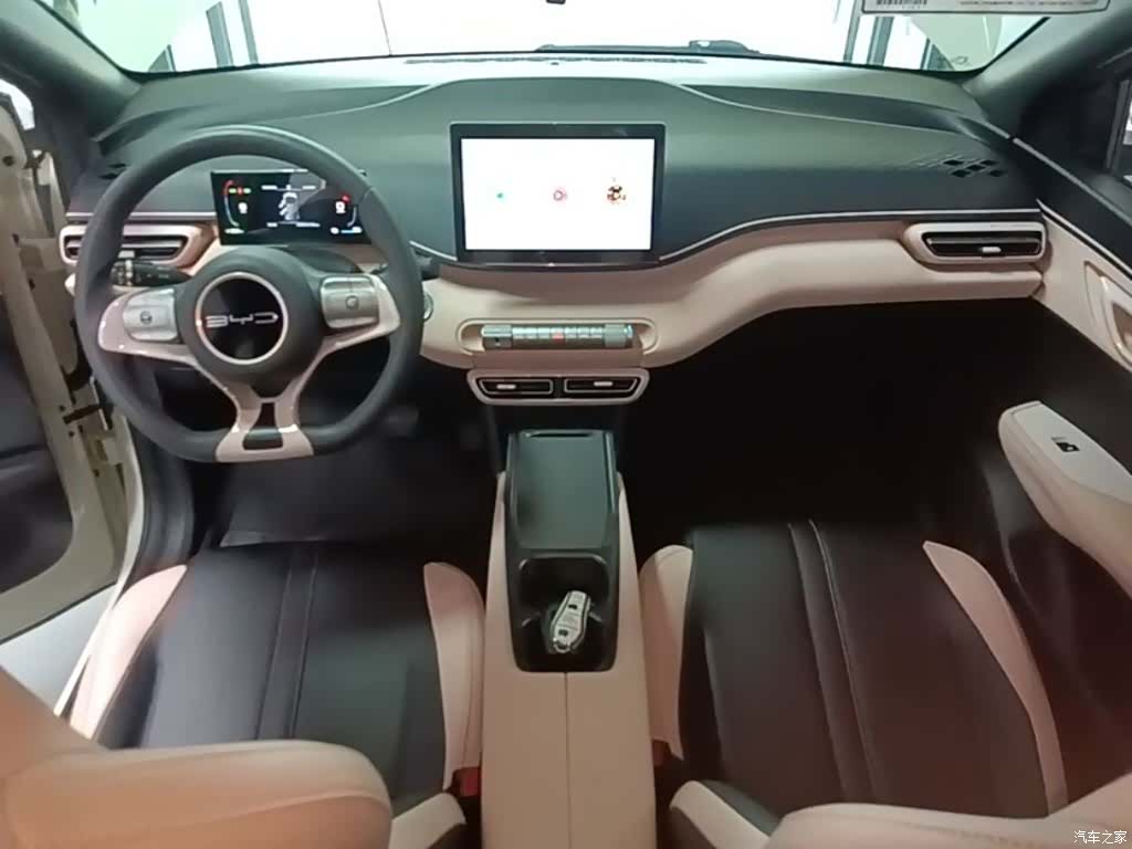 BYD Seagull, 2024 10
