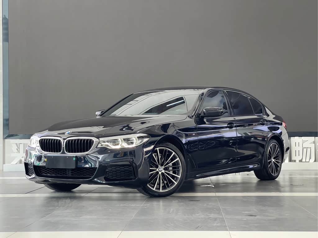 BMW 5 Series 5 2019 530Li Premium M Sport