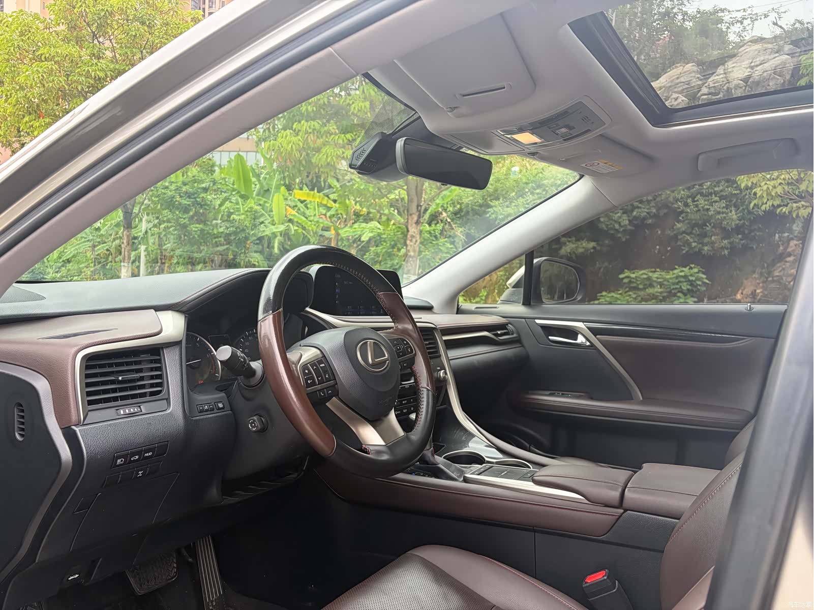 Lexus RX, 2022 все фото