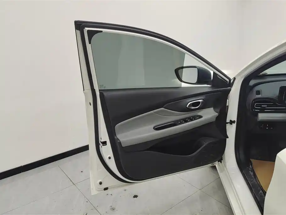 Trumpchi Shadow Leopard