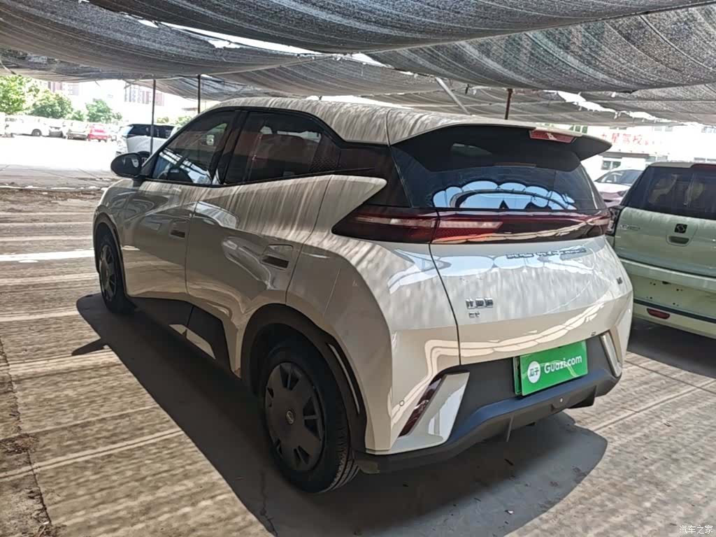 BYD Seagull, 2024 все фото