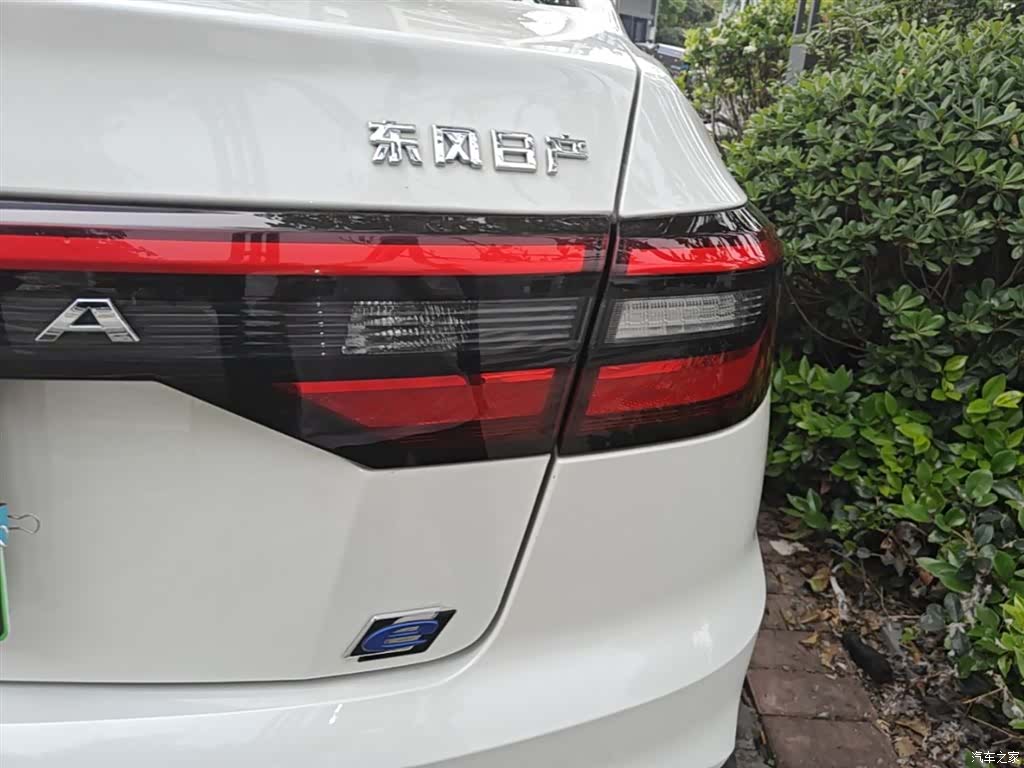Nissan D60EV, 2024 8