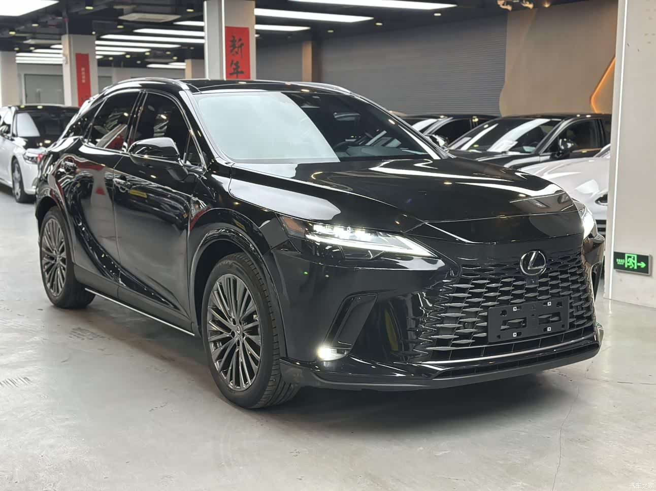 Lexus RX, 2025 2