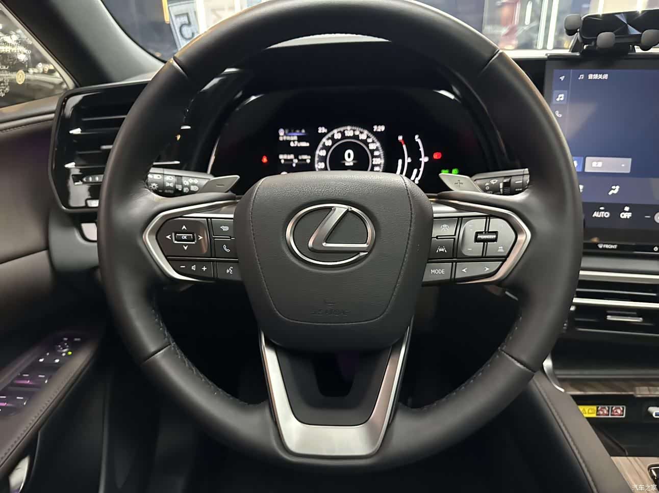 Lexus RX, 2025 14