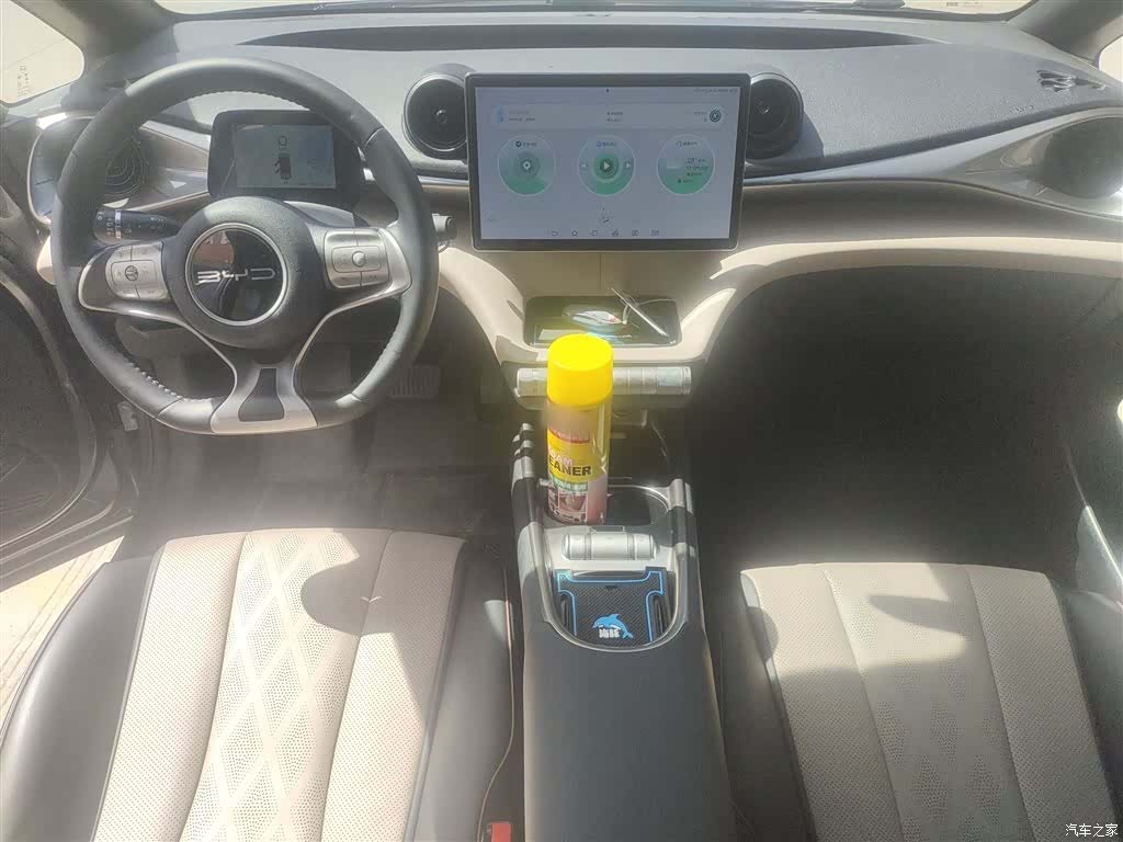 BYD Dolphin, 2023 10
