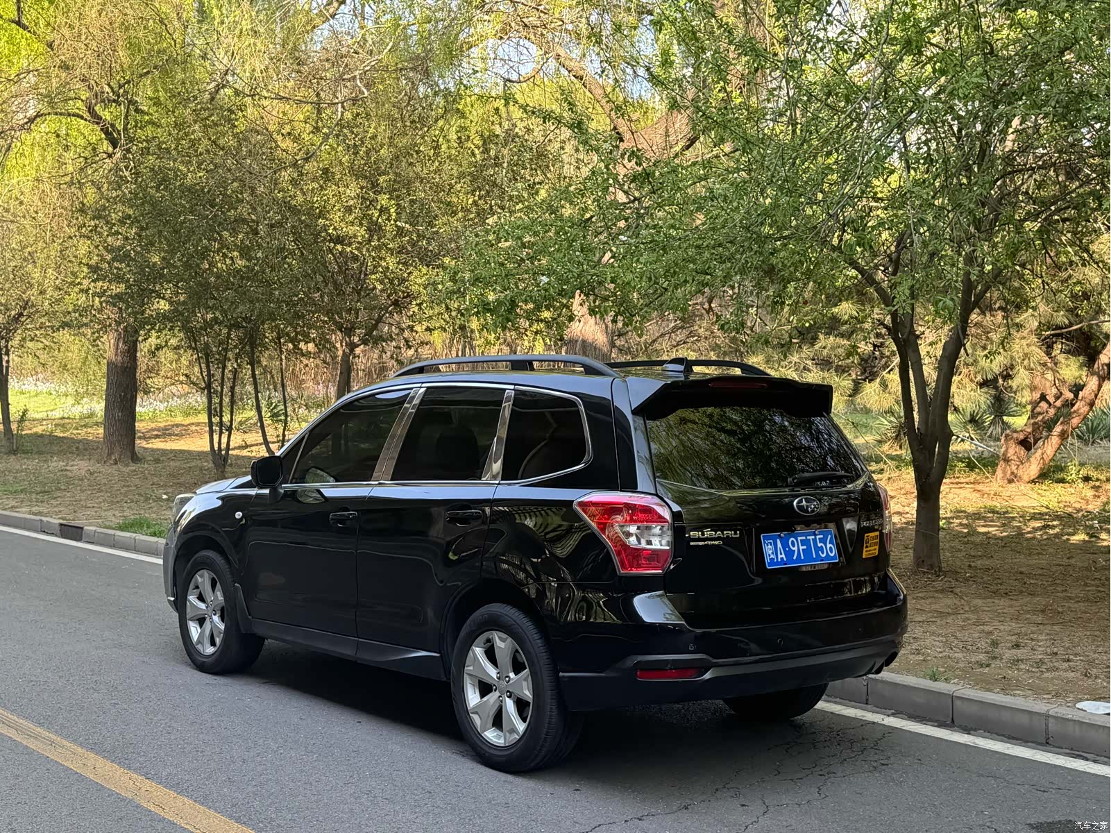 Subaru Forester, 2015 все фото