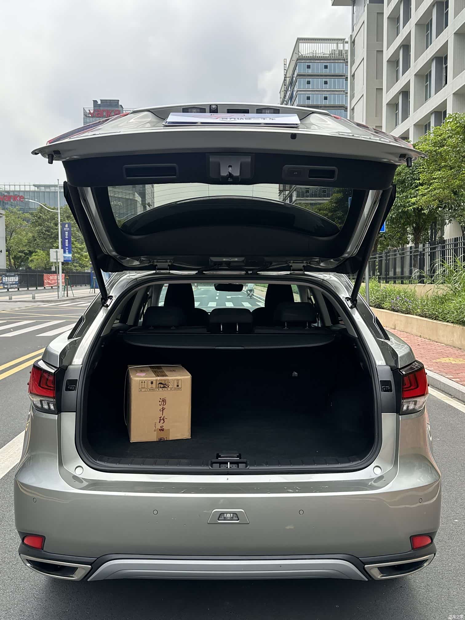 Lexus RX, 2021 7