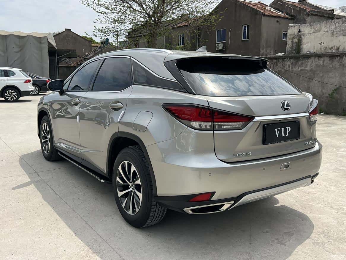 Lexus RX, 2020 13