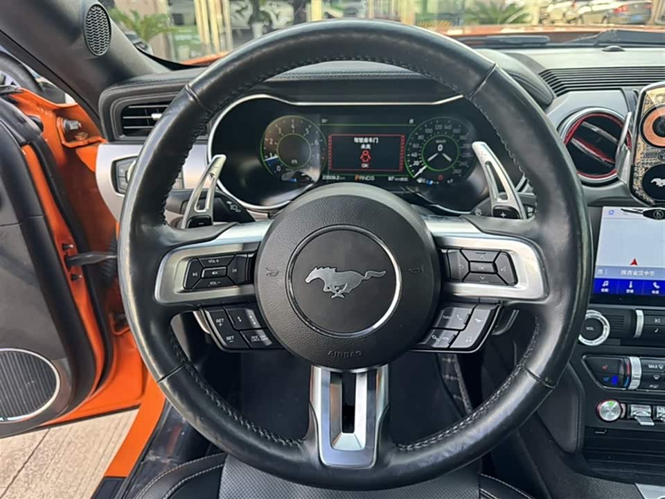 Ford Mustang Ford Mustang