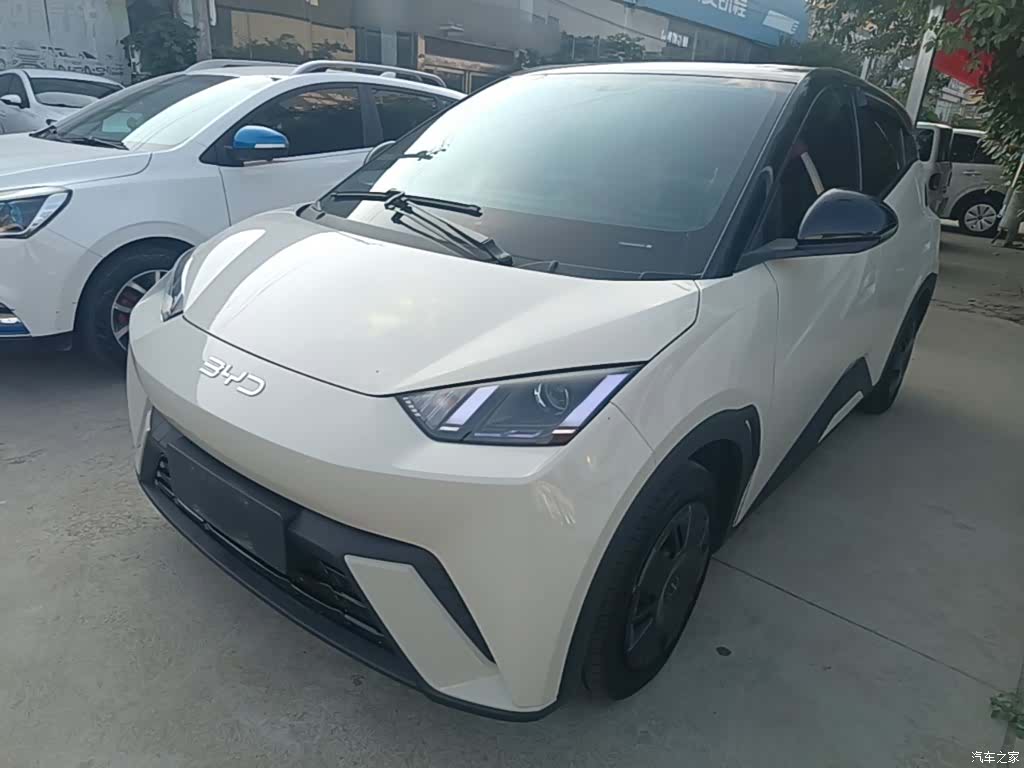 BYD Seagull, 2024 2