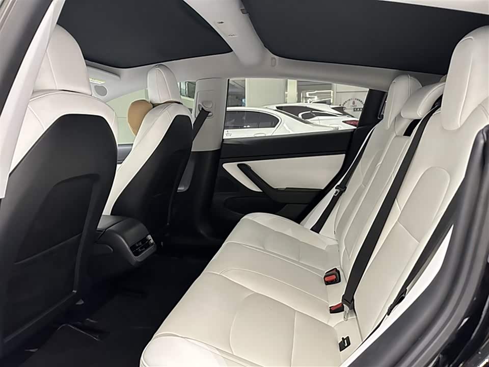 Tesla Model 3 Tesla Model 3