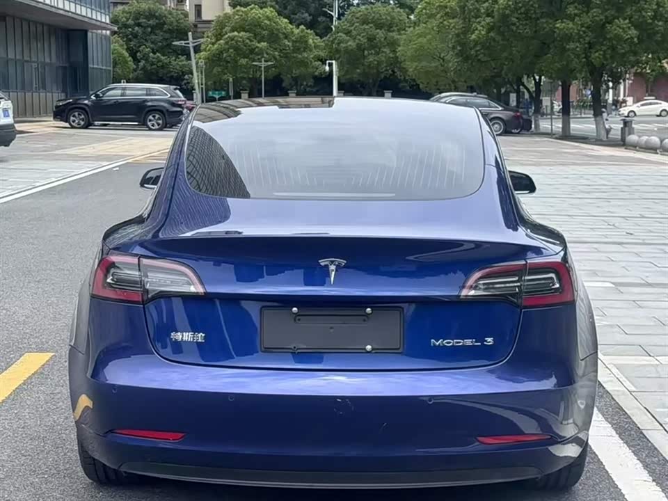 Tesla Model 3 Tesla Model 3