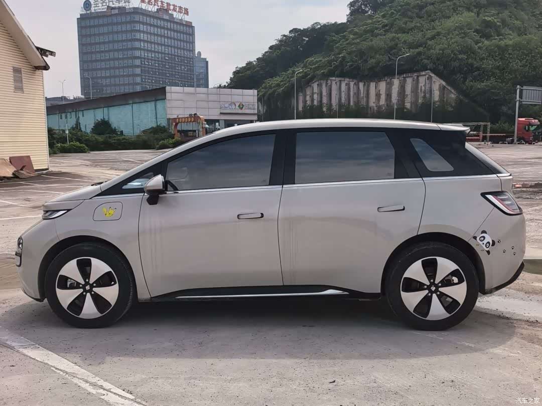 Wuling 460, 2024 3
