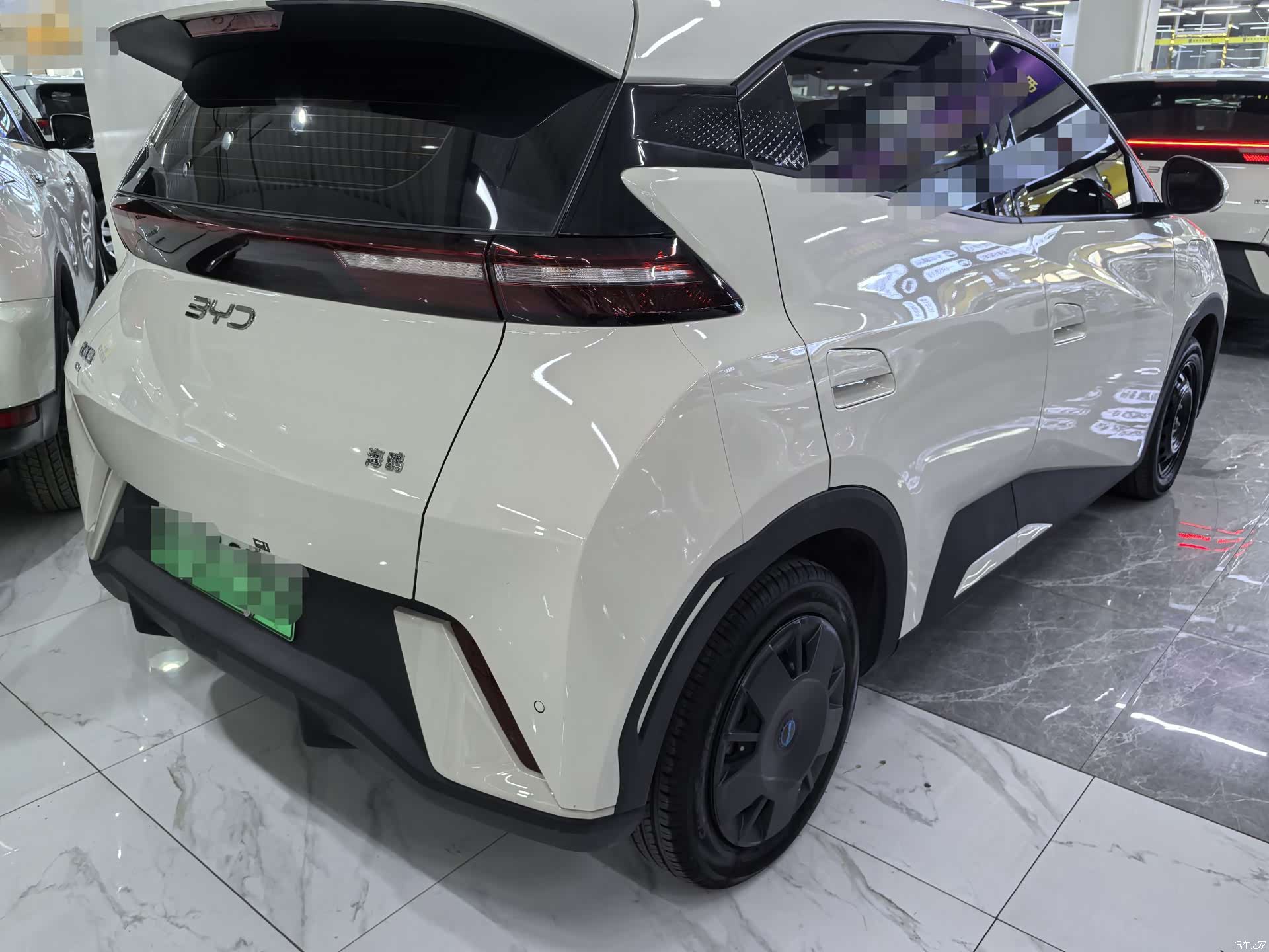 BYD Seagull, 2024 6