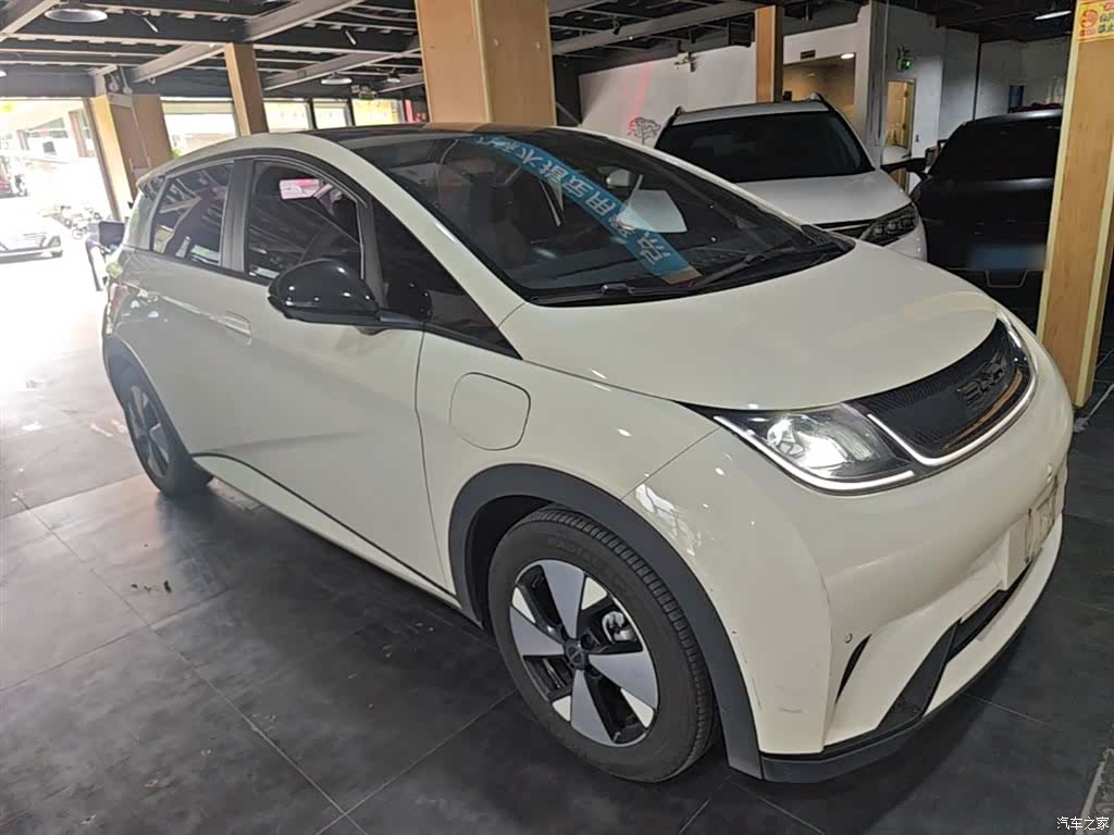 BYD Dolphin, 2023 4