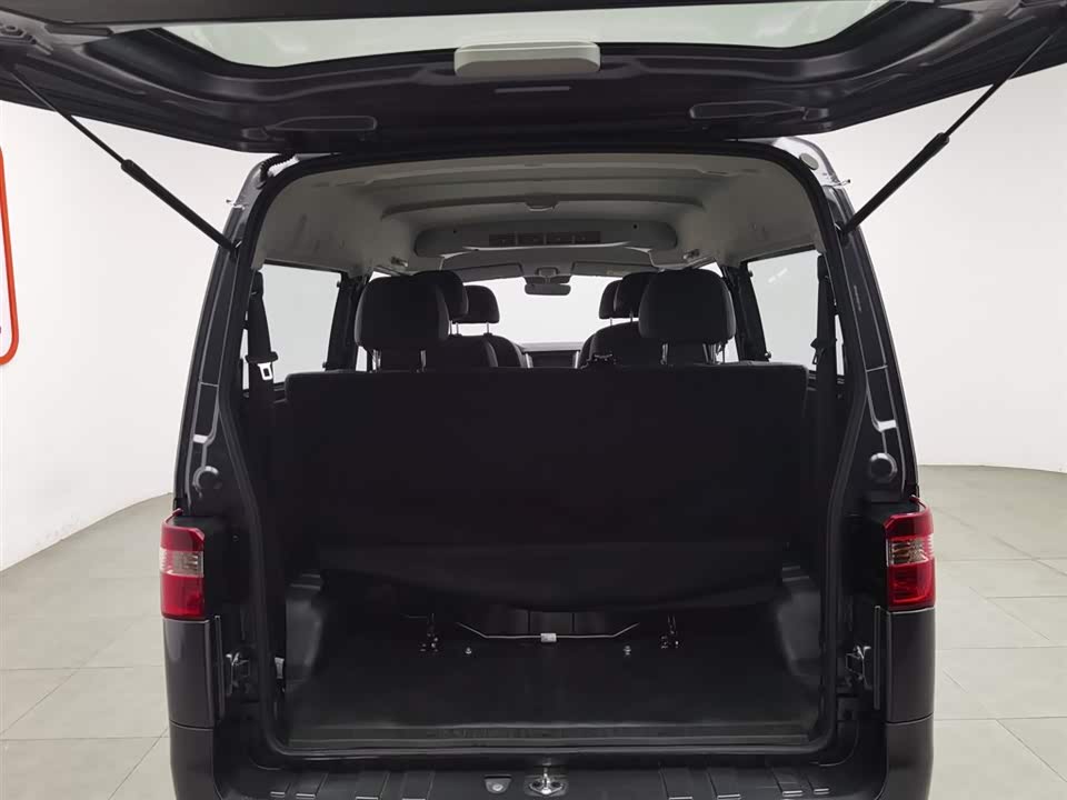 Shineray Golden Sea Lion M