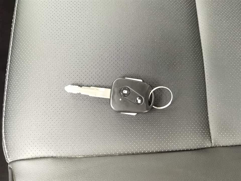 Shineray Golden Sea Lion M