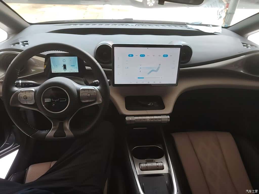 BYD Dolphin, 2023 10