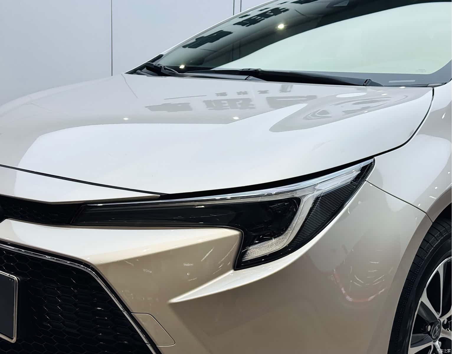 Toyota Levin, 2024 23