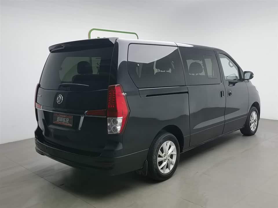 Forthing Lingzhi PLUS