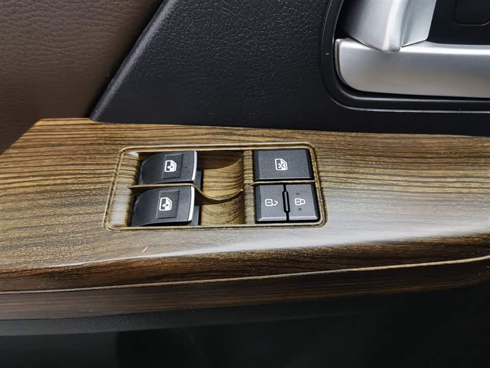 Forthing Lingzhi PLUS