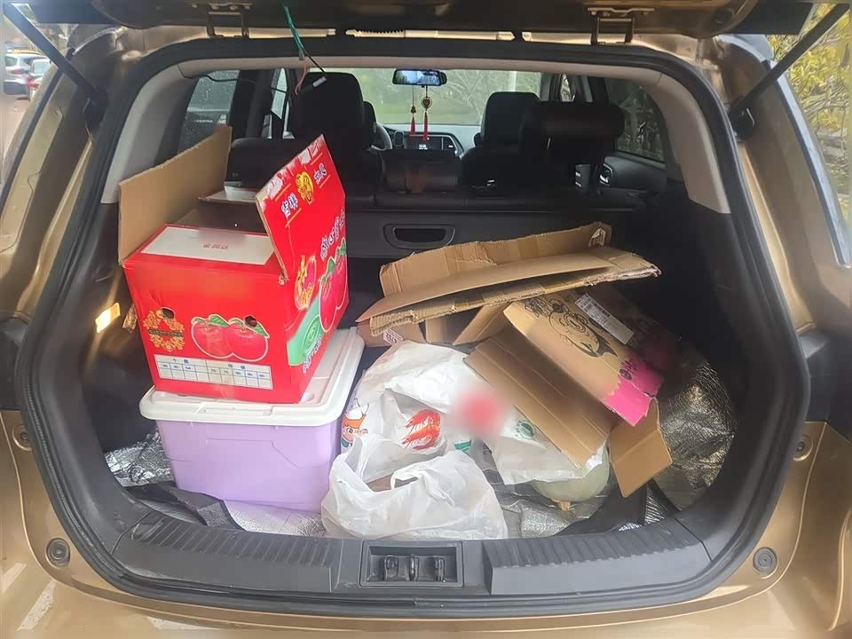 Trumpchi Trumpchi GS4