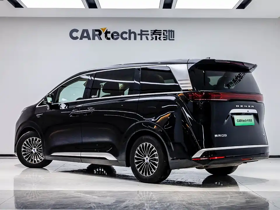Denza D9