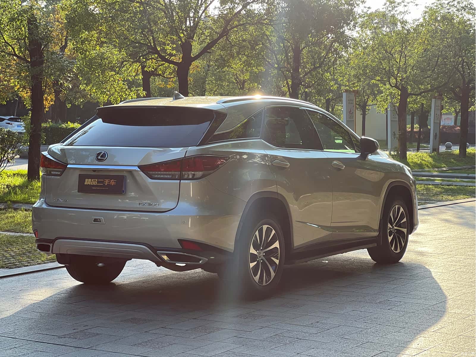 Lexus RX, 2022 все фото