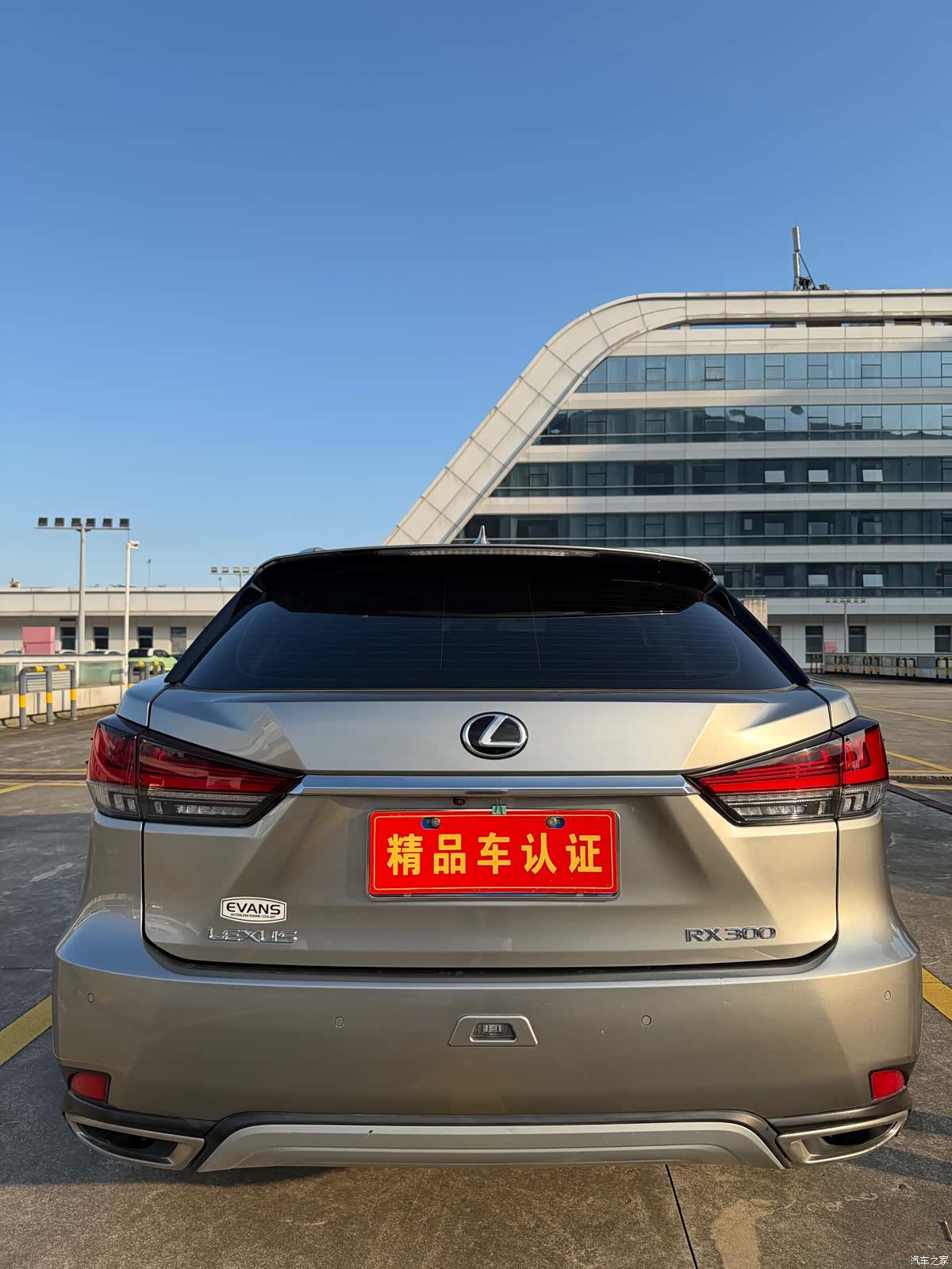 Lexus RX, 2020 4