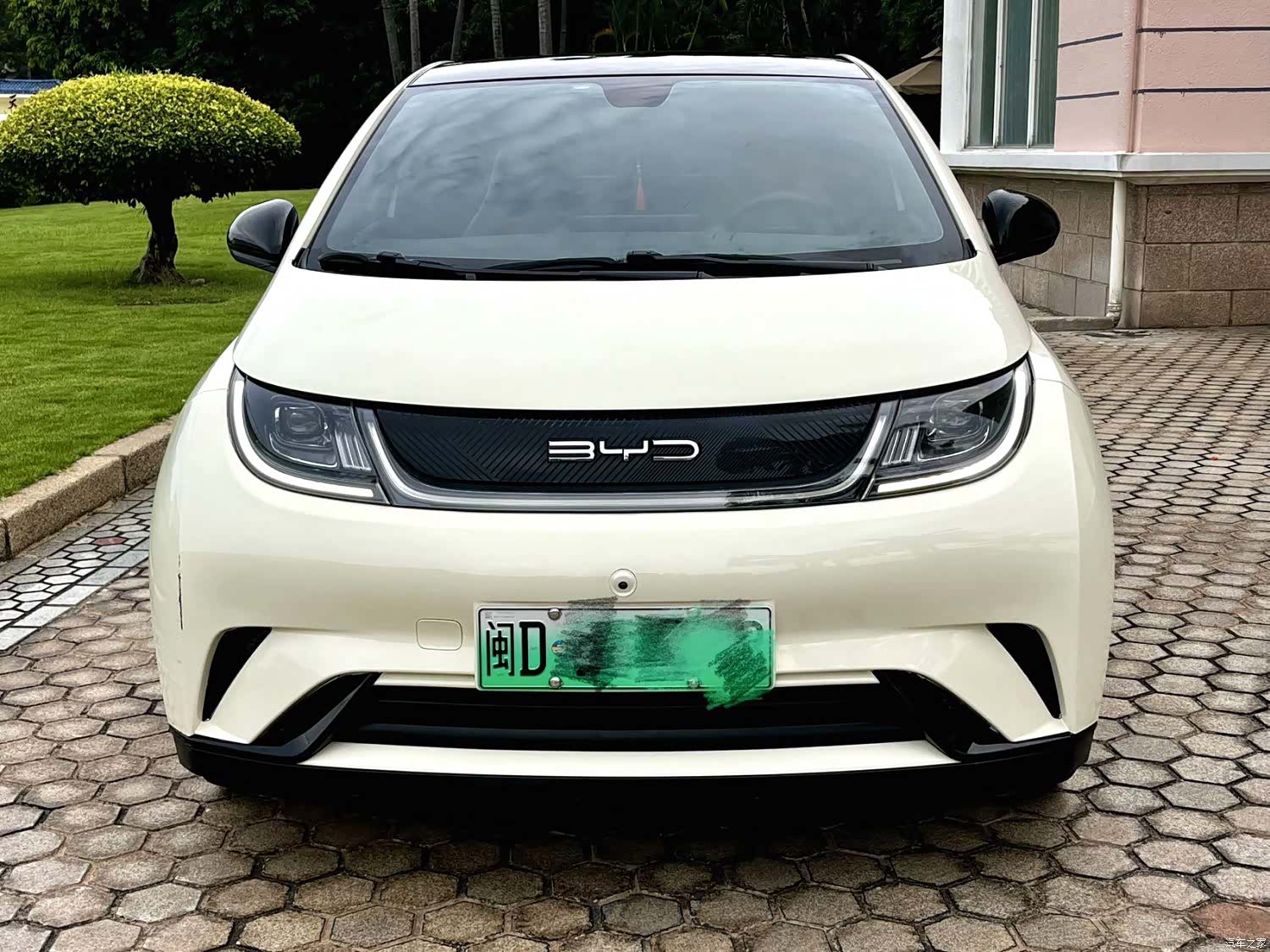 BYD Dolphin, 2023 1