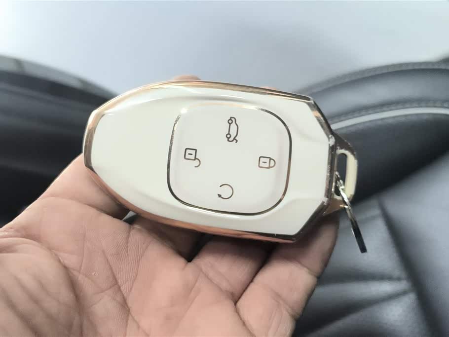 Trumpchi Trumpchi GS8