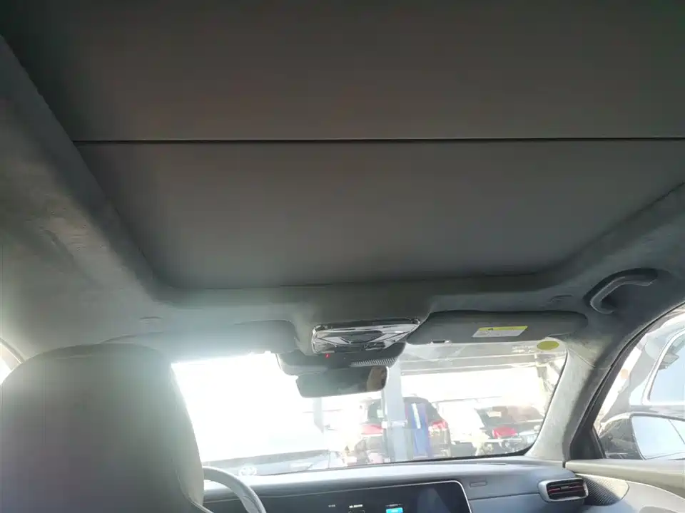 ARCFOX Polar Fox Alpha S