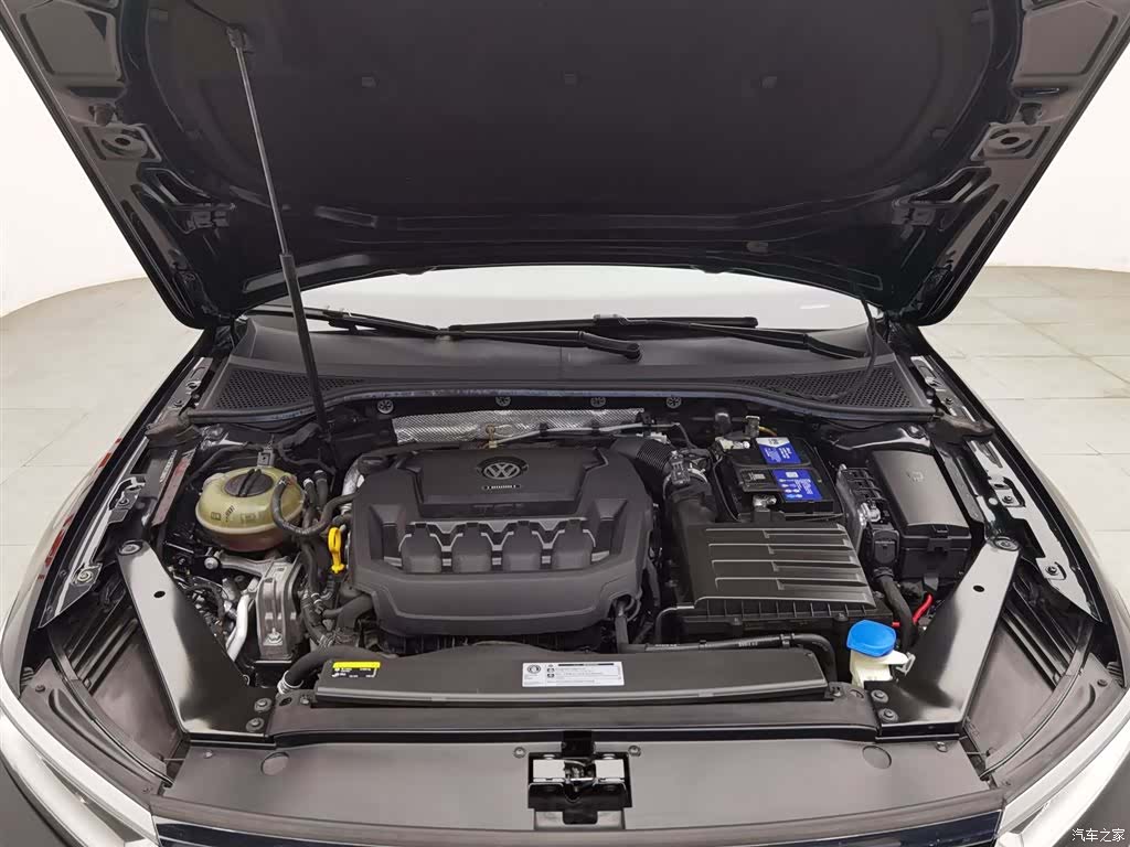 Volkswagen Magotan, 2019 6