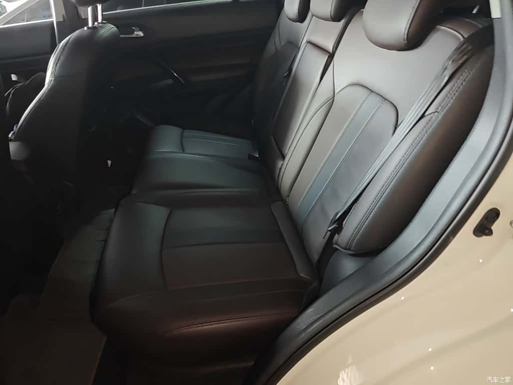 GAC GS4, 2018 17