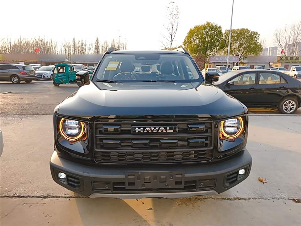 Haval Big dog