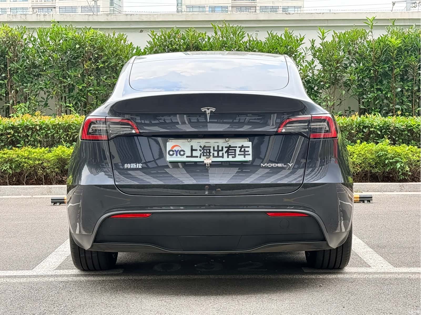 Tesla Model Y, 2024 все фото