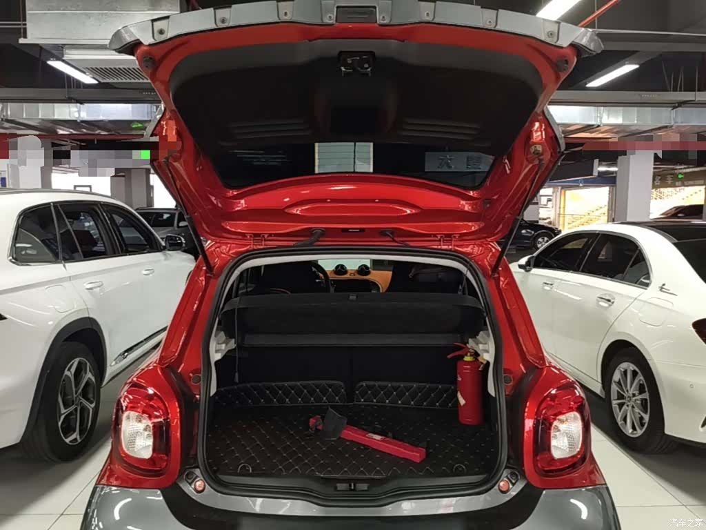 Smart Forfour, 2017 19