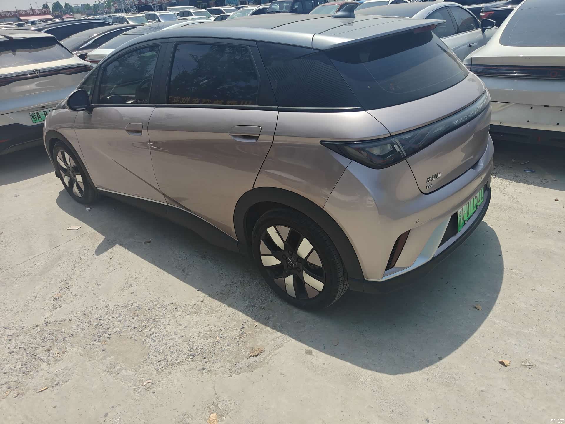 BYD Dolphin, 2022 4
