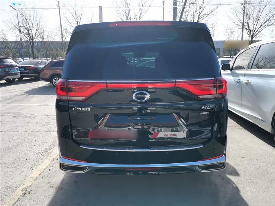 Trumpchi Trumpchi M8