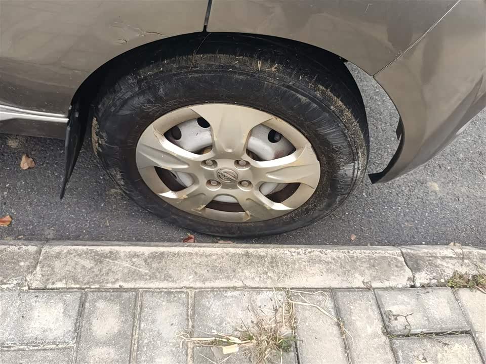 Jinbei New Sea Lion X30L