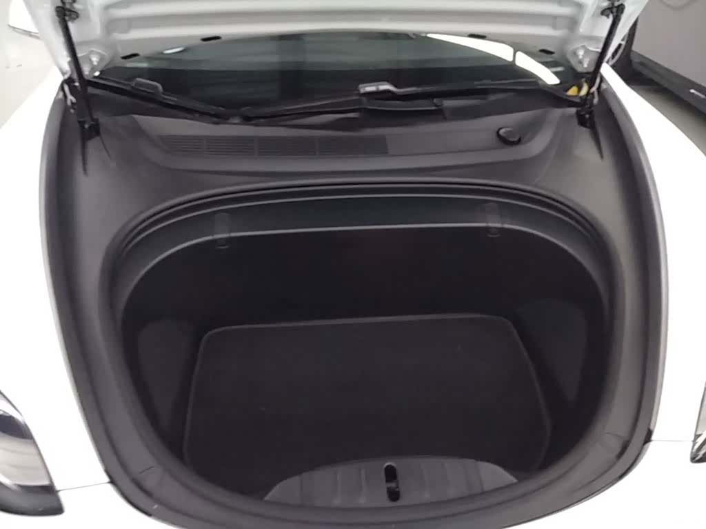 Tesla Model 3, 2019 20