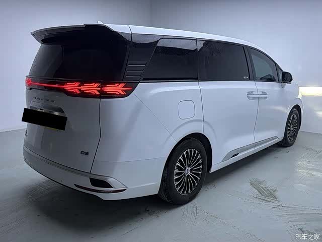 Denza D9, 2023 6