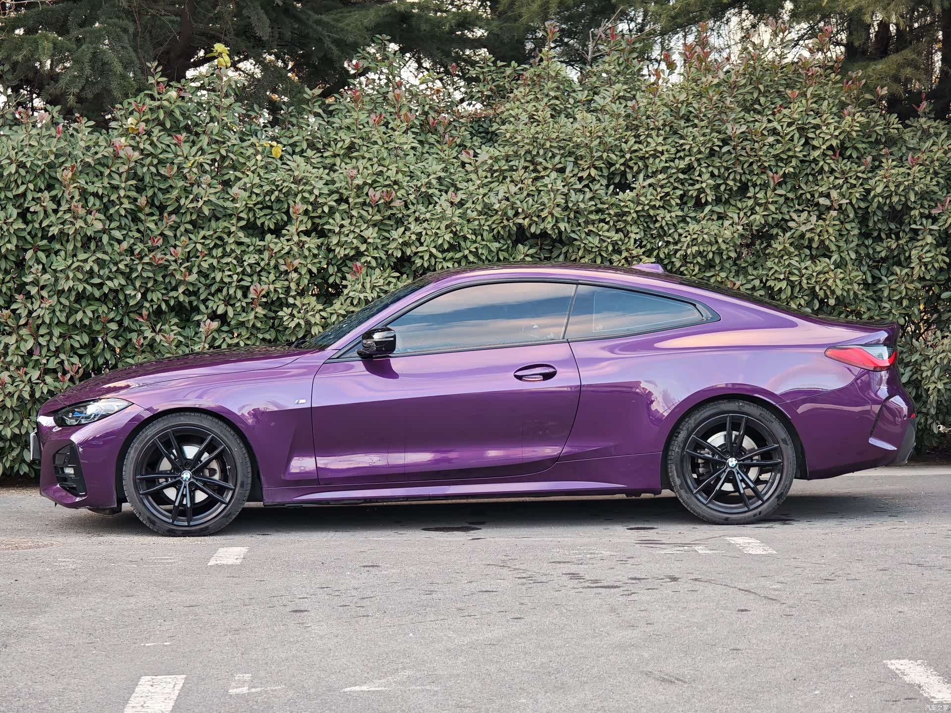 BMW 4 Series, 2024 все фото