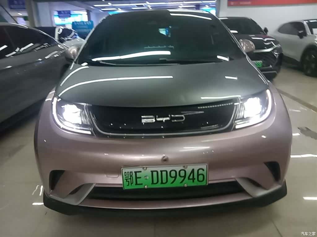 BYD Dolphin, 2021 3