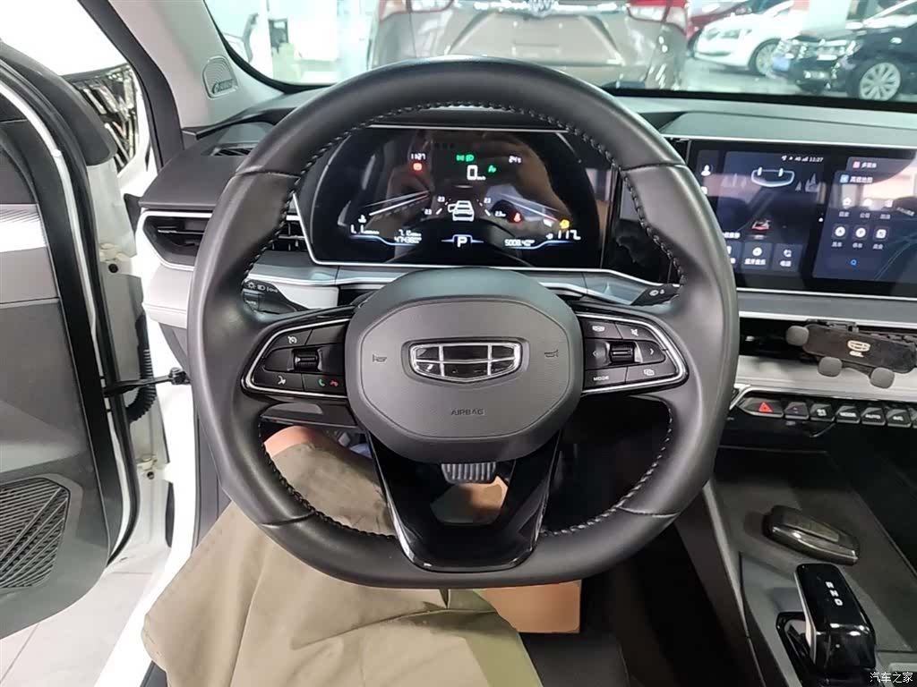Geely Binray, 2024 11