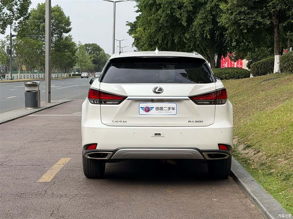 Lexus RX, 2020 все фото