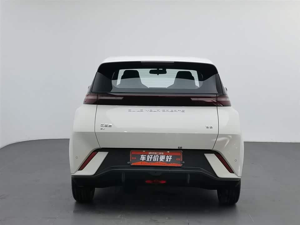BYD Seagull BYD Seagull