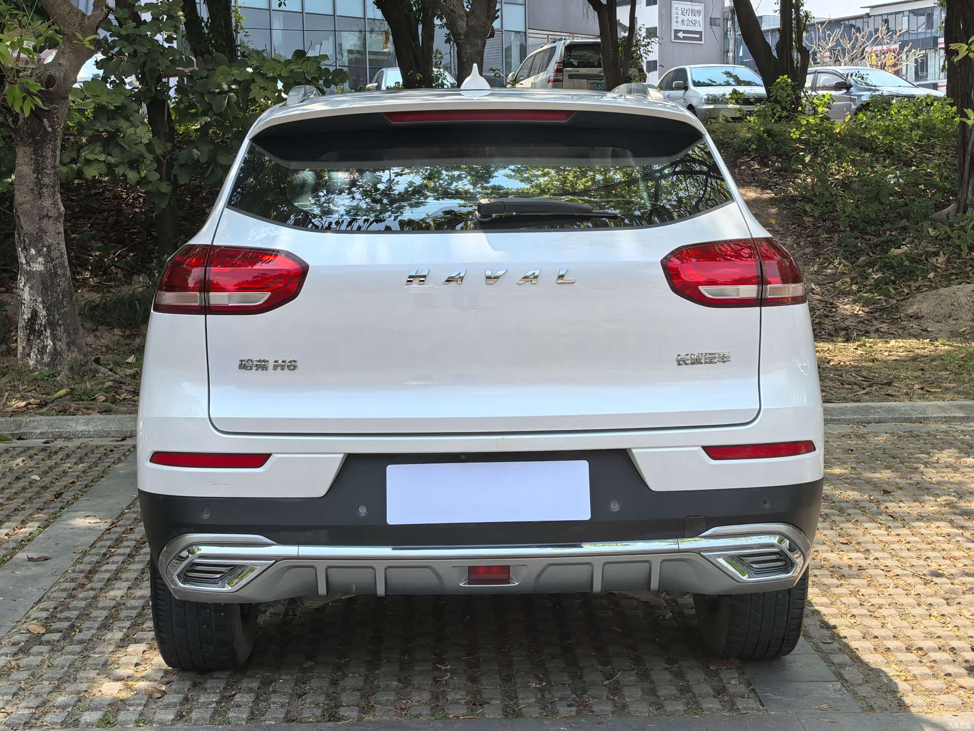 Haval H6, 2021 все фото